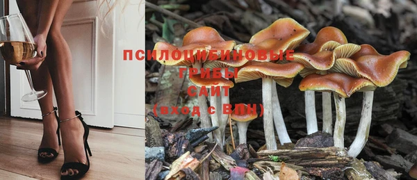 ешки Медвежьегорск