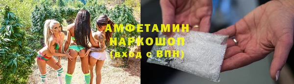 гашик Майский