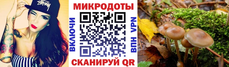 Псилоцибиновые грибы мицелий Махачкала