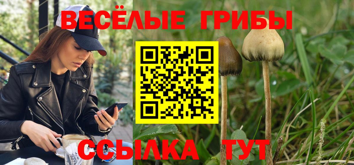 Галлюциногенные грибы прущие грибы Махачкала