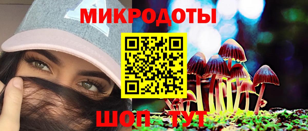 Галлюциногенные грибы Cubensis Махачкала