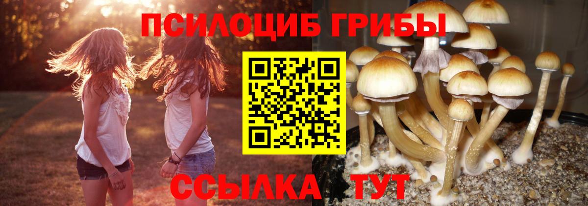 Галлюциногенные грибы Psilocybe  Вход с VPN  Махачкала  Галлюциногенные грибы Magic Shrooms 