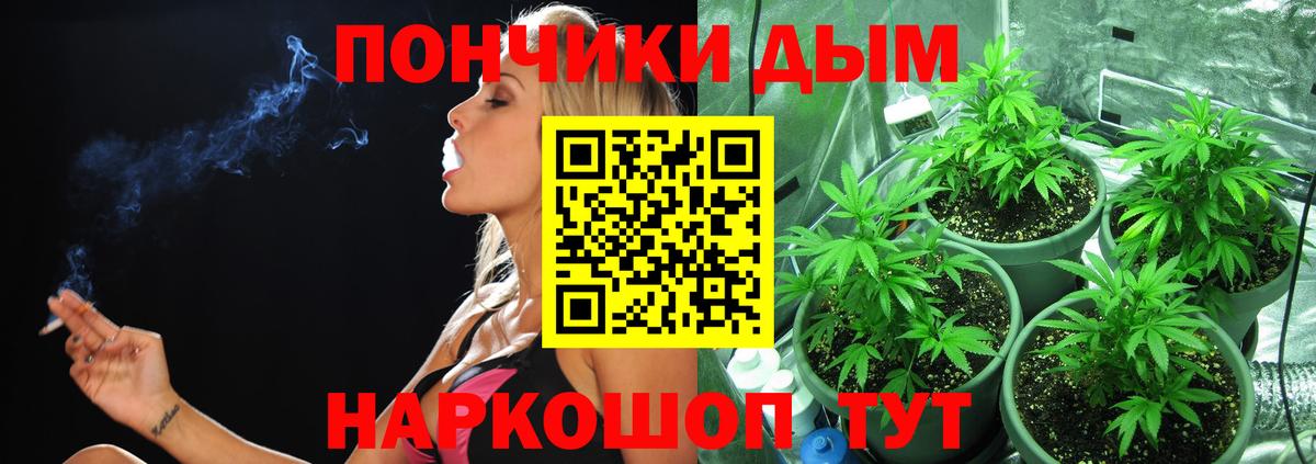 Канабис гибрид Махачкала